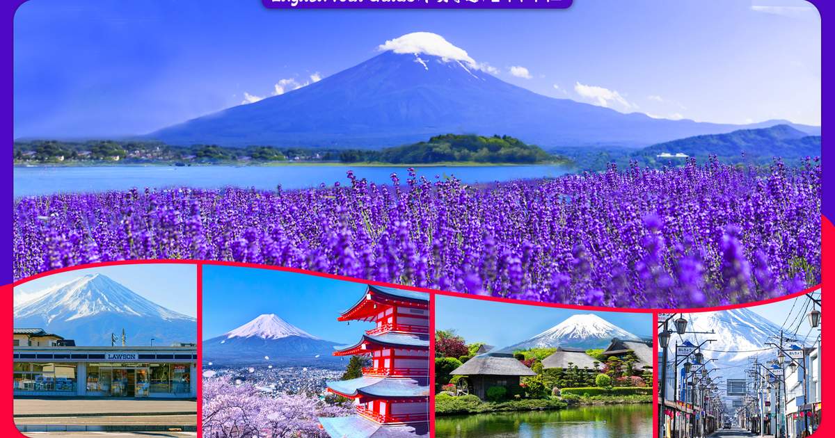 東京発富士山新倉山公園忍野八海